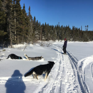 Plein air, saisons